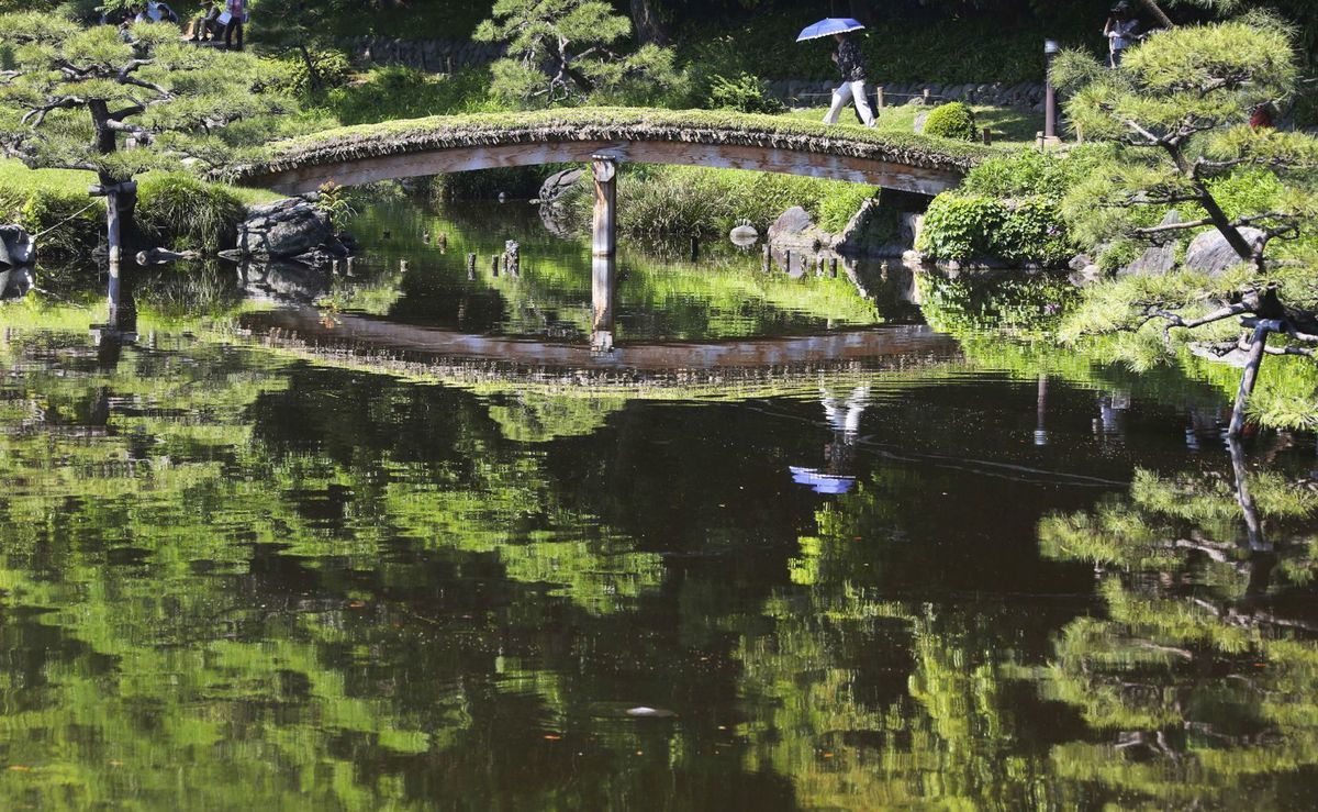 Japonsko, záhrada, zeleň, park, Tokio, most, rybník, jazero