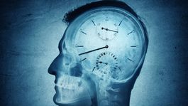 Mozgová mŕtvica: Odpočítavanie