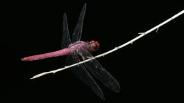 V Slovenskom raji otvorili prvý ekovýchovný areál pre deti