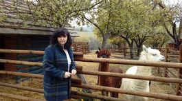 Ľudia chcú vlastné domy. Možno aj dedinský život