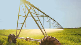 Tretina územia Slovenska je ohrozená dusičnanmi z poľnohospodárstva