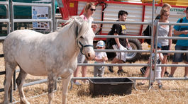 Dvory motivujú farmárov meniť veci k lepšiemu