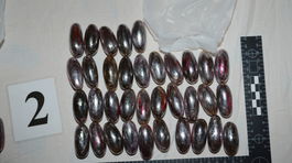 Španiel ukrýval hašiš za vyše 4 500 eur