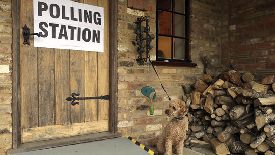 Čakajúci pes pred volebnou miestnosťou v...