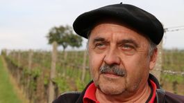 Muž, ktorý učí reči vinohradu