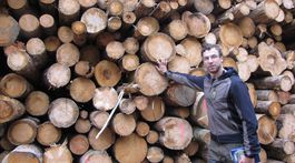 Rúbanie stromov ničí vzácne hlucháne