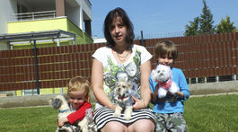 Háčkované psíky. Ako živé