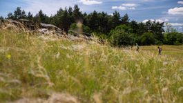 Zloženie rastlín dodnes ukazuje na biblické sídla