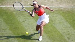 Ďalšia prehra. Cibulková v 1. kole podľahla Šafářovej, nevyužila mečbaly