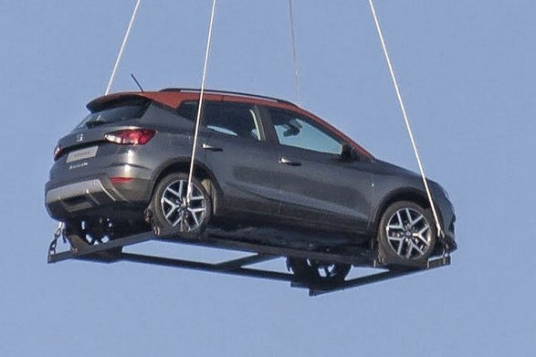 Vzadu ide Arona vlastnou cestou. Má originálny...