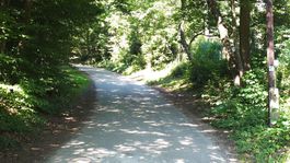 Ochranári vyzývajú vládu, aby zastavila ničenie horských lesov