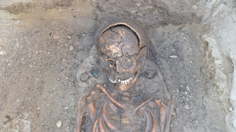 Všetky kostry mali dokonalý chrup.