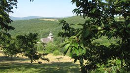 Čerešňový raj zostal tento rok bez čerešní