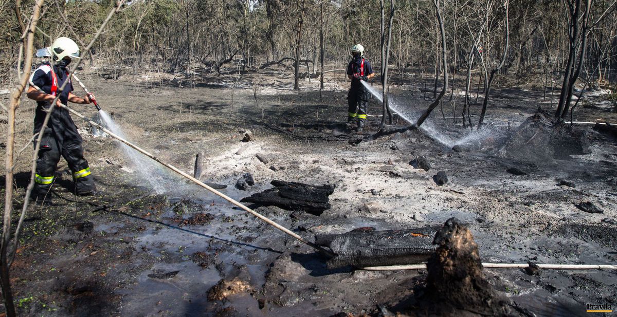 Hasiči pri likvidácii požiaru na Záhorí.