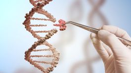 Brnianski vedci začnú s Britmi spolupracovať na výskume opráv DNA