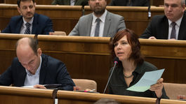 OĽaNO podáva trestné oznámenie na Kotlebu pre tender na opravy ciest