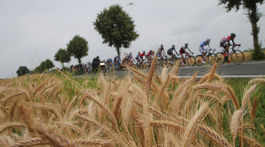 Tour de France, 2. etapa