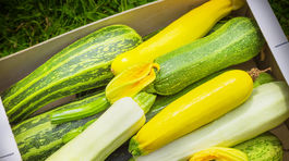 Obľúbenosť cukety rastie