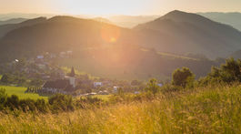 Ako zarobiť na krajine? Dať jej pokoj