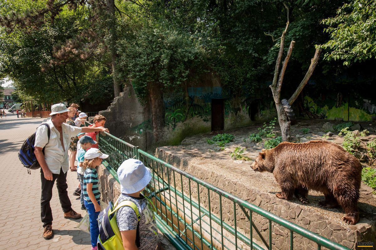 Bratislavská ZOO poskytuje deťom aj dospelým...