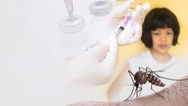 Klimatické zmeny môžu do Európy priniesť choroby prenášané komármi