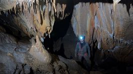 mangalica, jaskyna, jaskyniar