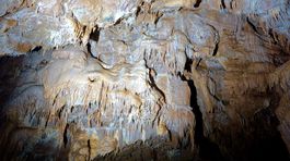mangalica, jaskyna, jaskyniari, jaskyniarstvo