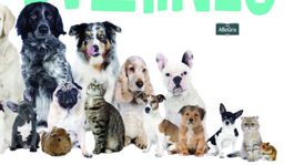 Knižka pre deti: Aj zvieratá potrebujú férové vzťahy