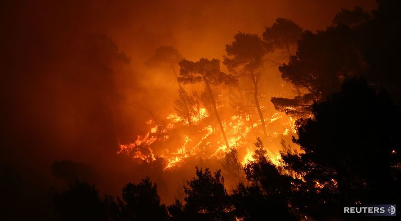požiar, split, borovicovy les, Split, chorvatsko