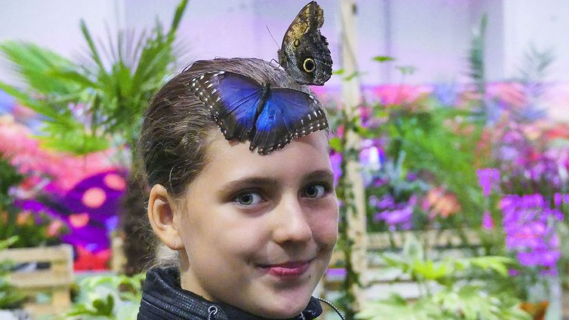 Motýlí účes 15-ročnej Sáry.