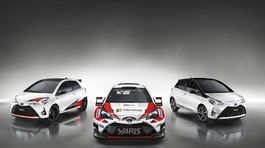 Toyota Yaris GRMN - 2017
