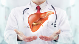 Pečeň: Dôležitá, ale zanedbávaná