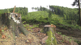 Národný park Poloniny navštevuje stále viac turistov, v území chýbajú služby