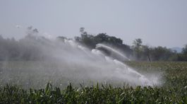 Horúčavy a sucho: Slovensko musí obnoviť zničený závlahový systém