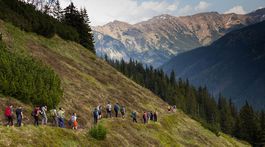 Koniec strelcom, vežiam a kráľom. Otvorme Tatry pešiakom