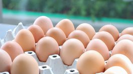 Slovensko je sebestačné vo vajciach, otázne je dokedy