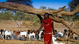 Afriku čaká kritický nedostatok úrodnej pôdy
