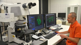 Eurofondy nakopli bioenergiu a pomohli martinským vedcom