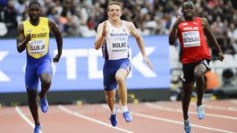 Volko prežil životnú sezónu