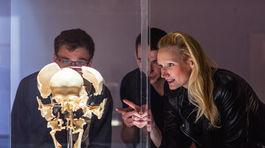 Výstava ľudských tiel opäť poburuje