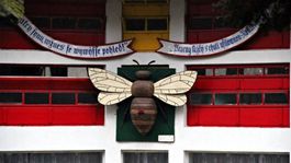 Náš tip: Poďte do kráľovstva včiel v skanzene v Kráľovej pri Senci