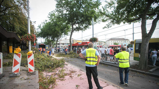 Veterná smršť, ktorá sa prehnala západným...
