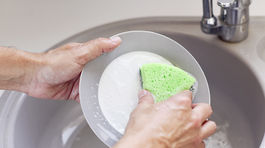 Špongie na riad obsahujú milióny baktérií