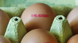 EK zvolala na september schôdzku ministrov krajín postihnutých aférou s vajcami