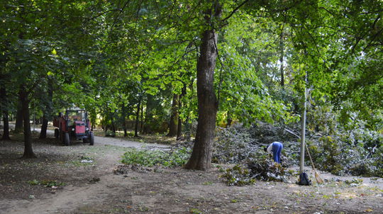 Škody napáchala nočná víchrica aj v trnavskom...