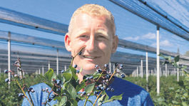 Čučoriedková plantáž bez dotácií. Za vlastné