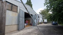 Pleseň ničí tisíce obrazov