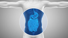 Keď črevá volajú o pomoc