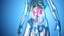 Močové cesty: Zápaly hrozia aj v lete