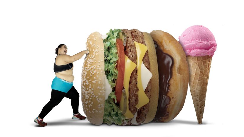 obezita, burger, zmrzlina